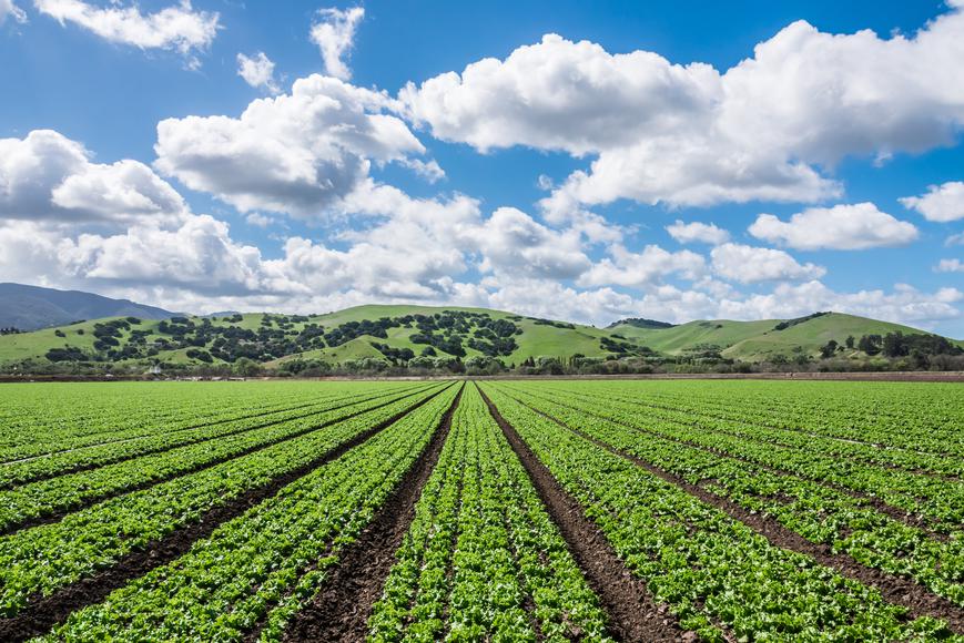 Salinas, California